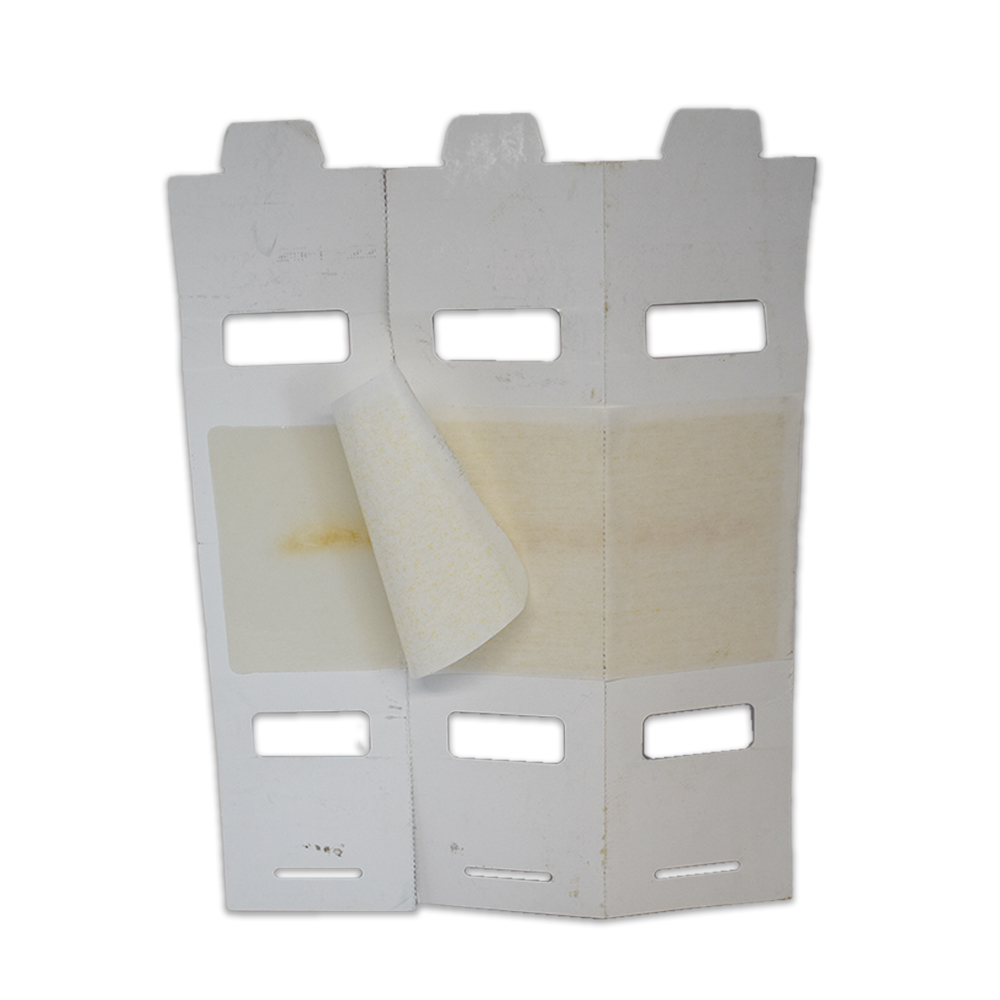 Moniteur pièges à coquerelles (10 plaques x 3 und) – Image 2