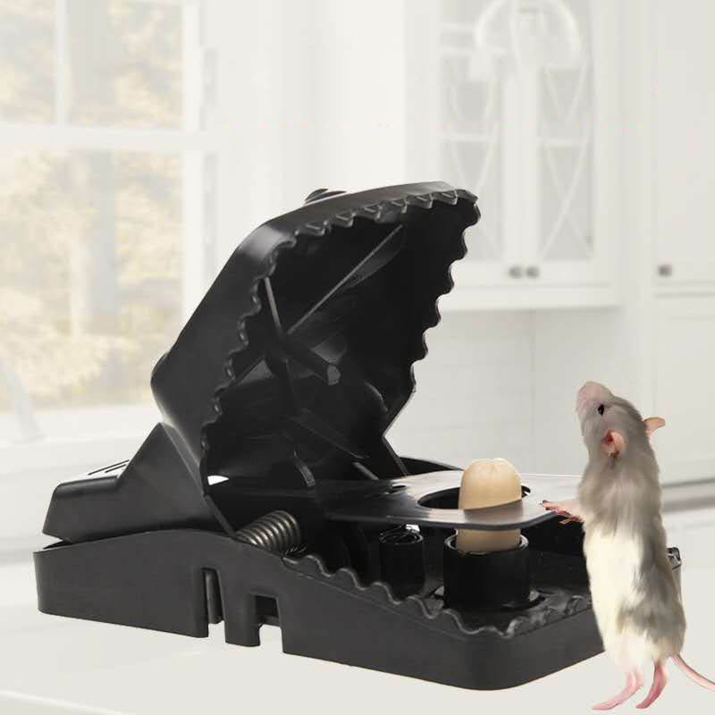 Pièges à souris (6 u) - Image 4