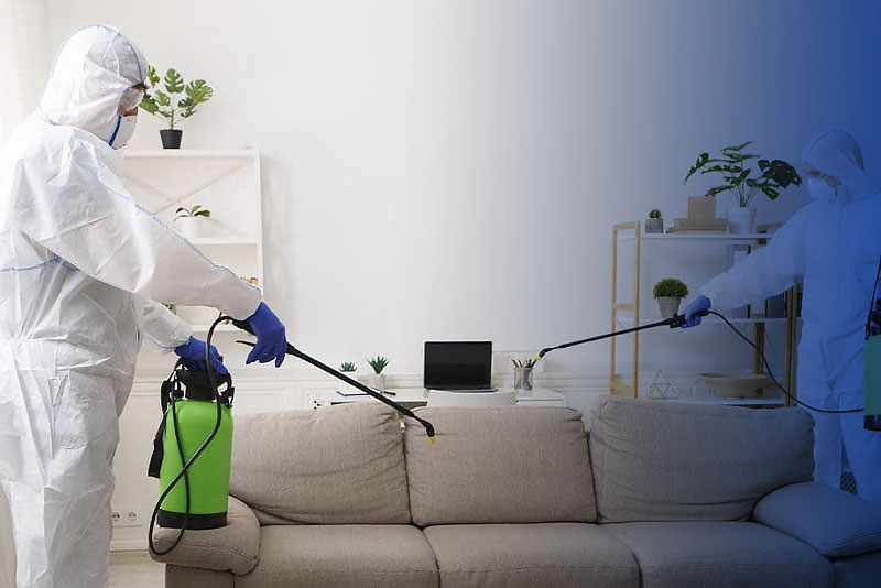 Pest control contractor working in the flat